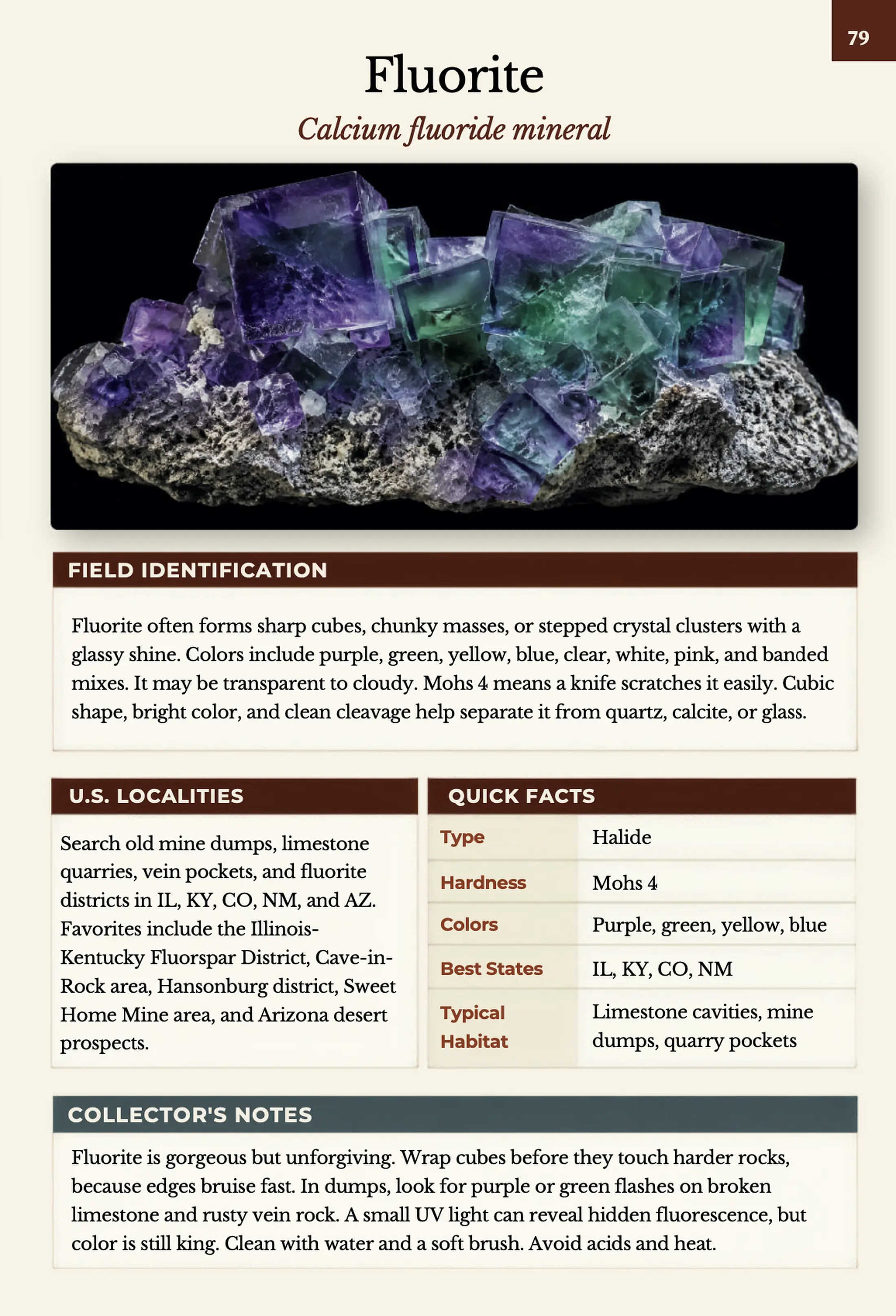 Full Fluorite field identification page from the book