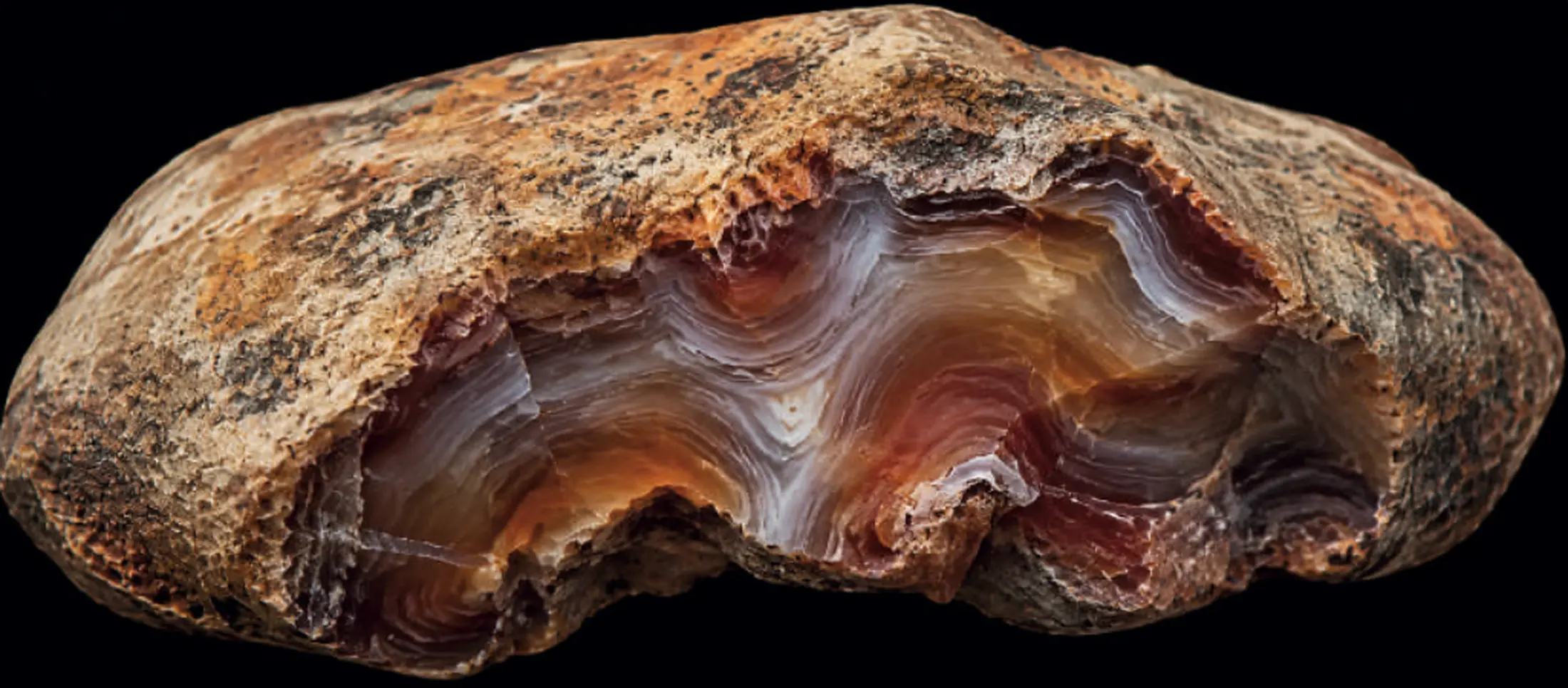 Agate specimen detail extracted from the book